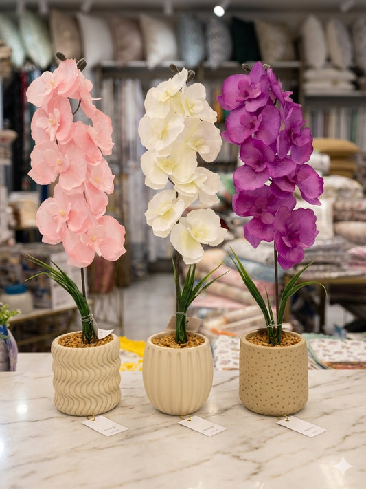 Orchidea con vaso